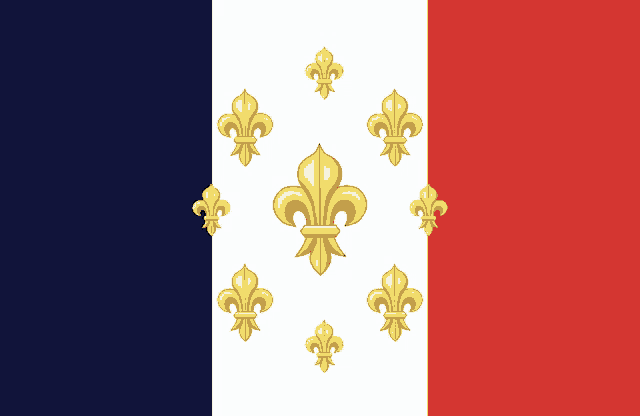 a blue white and red flag with gold fleur de lis