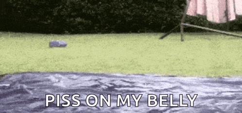 a person is standing on a blanket in the grass with the words `` piss on my belly '' .