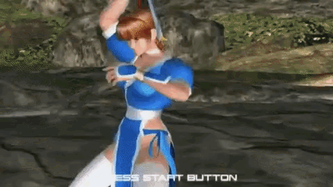 Dead Or Alive Video Games GIF - Dead Or Alive Video Games Ready GIFs
