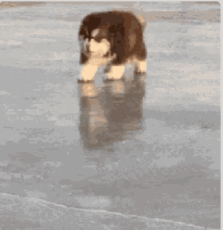 a husky puppy is walking on a frozen surface .