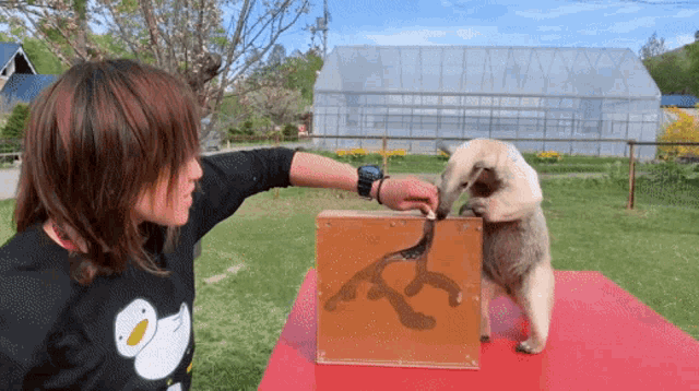 a woman petting a small animal on a table