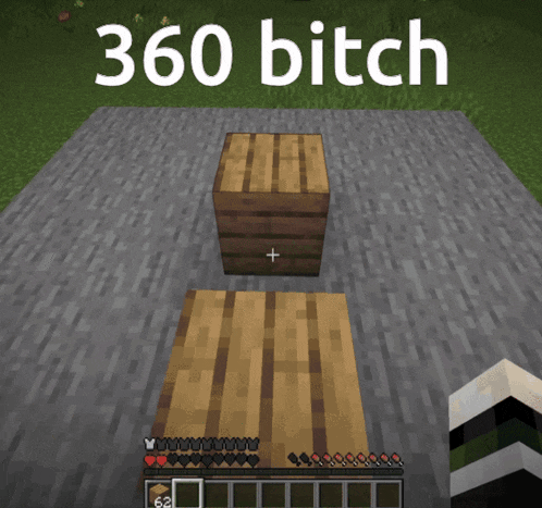 a screenshot of a video game with the words 360 bitch on it