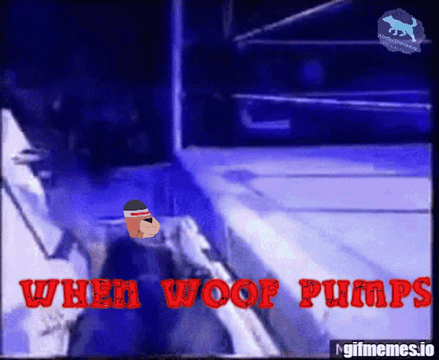 a cartoon of a dog with the words " when woof pumps "