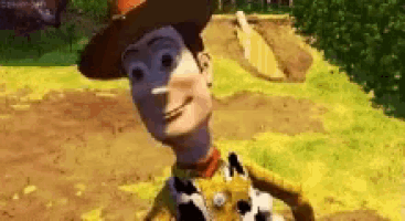 woody from toy story is standing in a field wearing a cowboy hat and smiling .