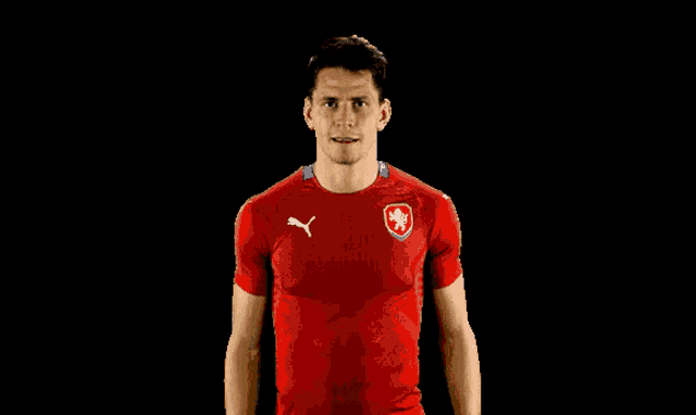 a man is wearing a red shirt with a lion on it