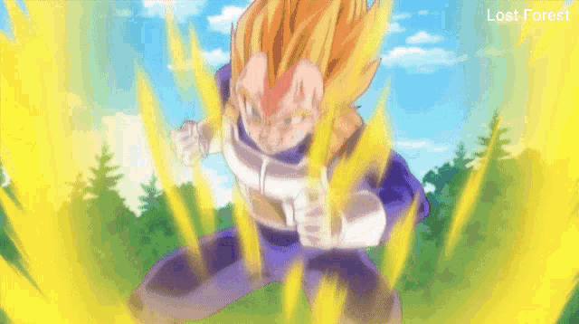a close up of a dragon ball z character with the words lost forest below him