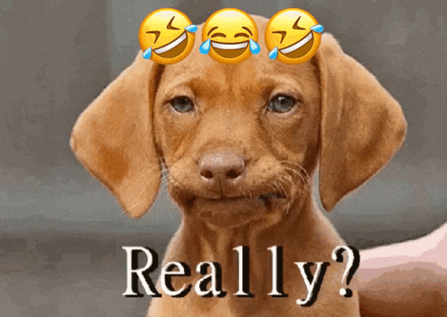 a brown dog with three smiley faces on its head and the words really written below it