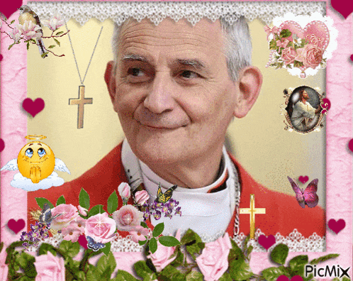 a picture of a man is surrounded by pink flowers and butterflies and says picmix