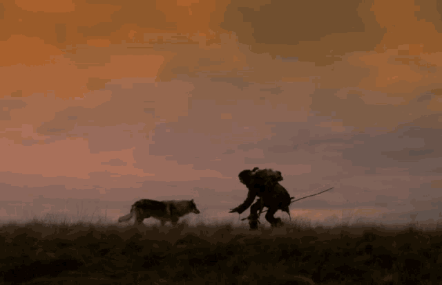 a silhouette of a person walking a dog in a field with a cloudy sky in the background