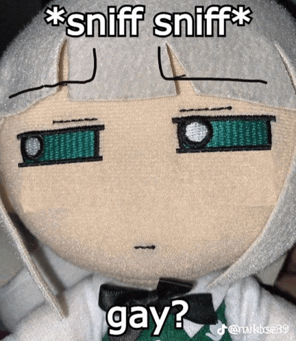 a stuffed doll with a caption saying sniff sniff gay