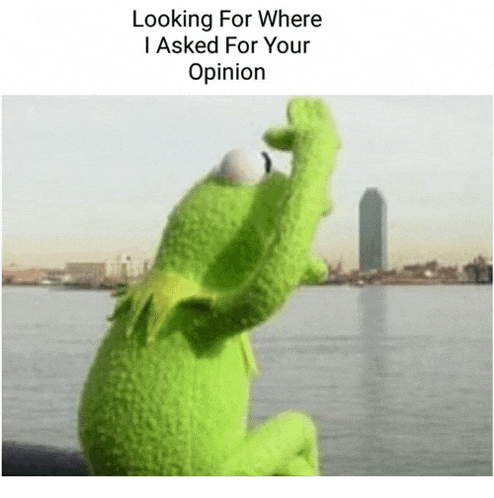 kermit the frog is looking for where he asked for his opinion