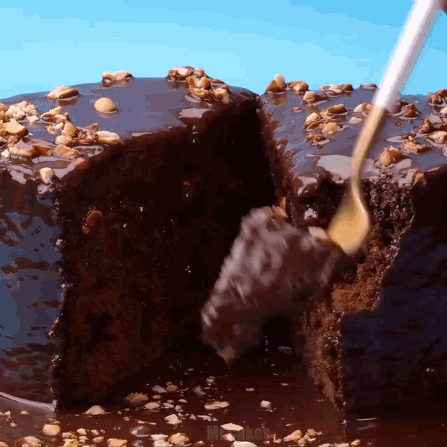 a slice of chocolate cake is being taken out of it with a fork