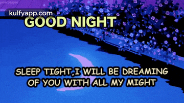 a good night sleep tight i will be dreaming of you with all my might message