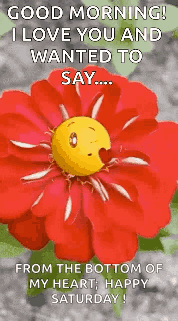 a red flower with a smiley face on it and the words `` good morning ! i love you and wanted to say ... ''
