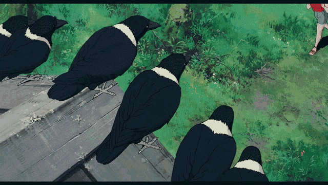a group of black and white birds sitting on a wooden ledge