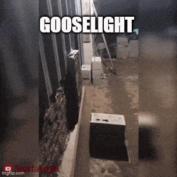 the word gooselight is on a picture of a brick wall