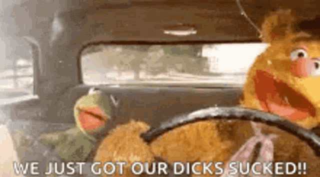 two stuffed animals are sitting in a car with the words `` we just got our dicks sucked '' written on the screen .
