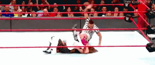 Alexa Bliss Not Giving Up GIF - Alexa Bliss Not Giving Up Mickie James GIFs