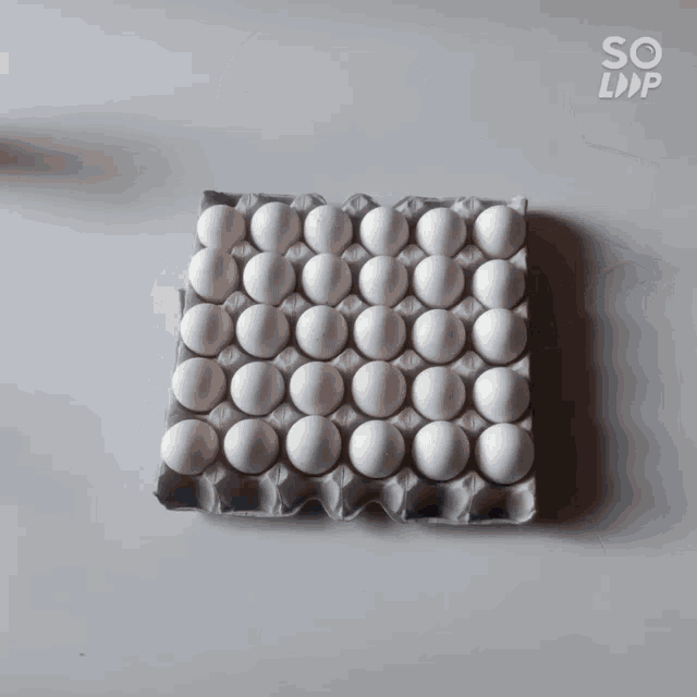 a tray of eggs with the word egg on the top