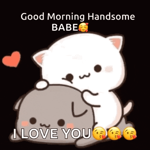 a cartoon of a cat hugging another cat with the words `` good morning handsome babe '' .
