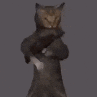 a cat with a gun on its shoulder is standing in a dark room .