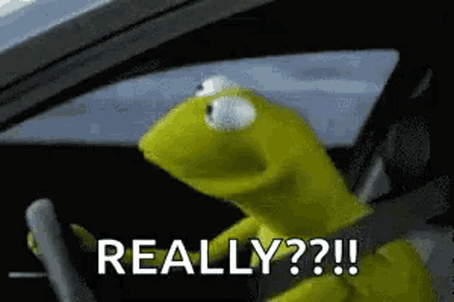 kermit the frog is driving a car and says `` really '' .