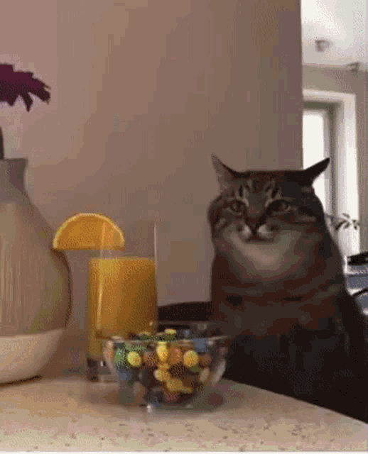 Cat Lonely GIF - Cat Lonely Bored GIFs