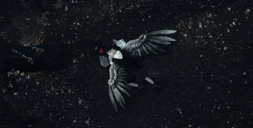 a person with wings is laying on the ground in the dark .