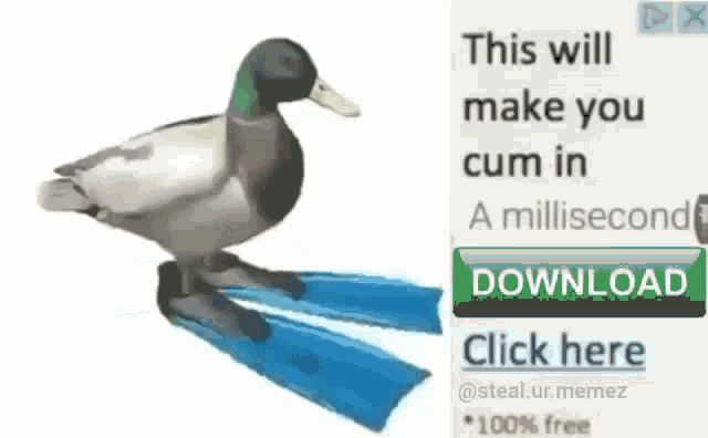 Duck Meme GIF - Duck Meme Cum GIFs