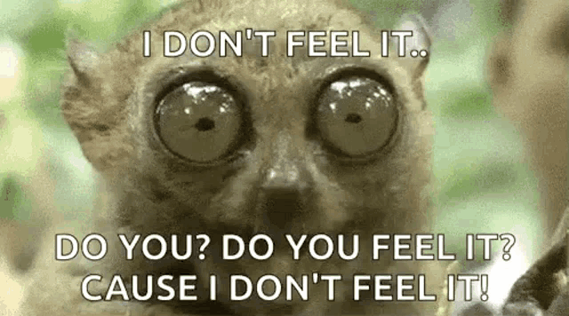 a lemur with big eyes is looking at the camera with a caption that says `` i don 't feel it . ``