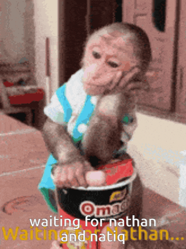 a monkey is sitting on top of a bucket that says omag