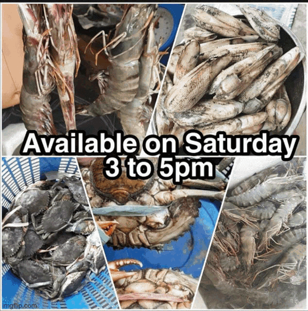 seafood is available on saturday 3 to 5pm