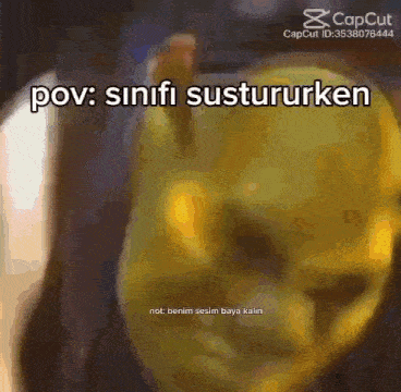 a close up of shrek 's face with a caption that says pov : sinifi sustururken