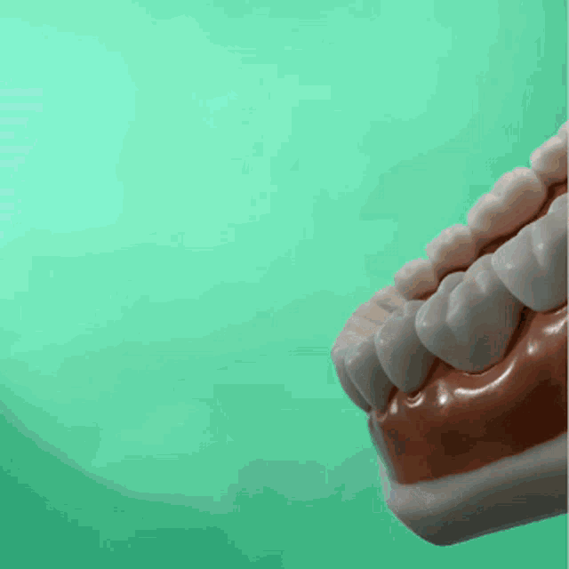 Girardent Zahnarzt GIF - Girardent Zahnarzt Dentist GIFs