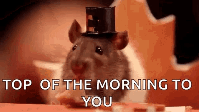 a rat wearing a top hat with the words `` top of the morning to you '' written below it .