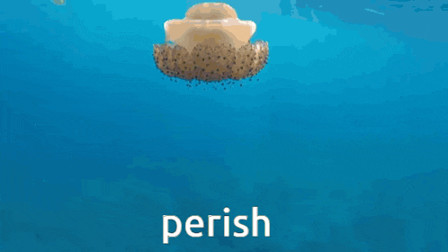 a person is touching a jellyfish in the ocean with the word perish below it