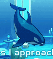 a killer whale is swimming in a room with the words i approach written below it