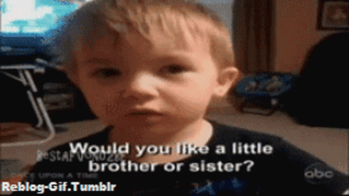 Dogs Brother GIF - Dogs Brother Little Brother GIFs