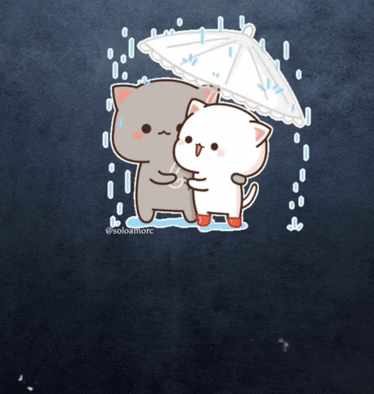 a cartoon of two cats under an umbrella with the caption soloamore