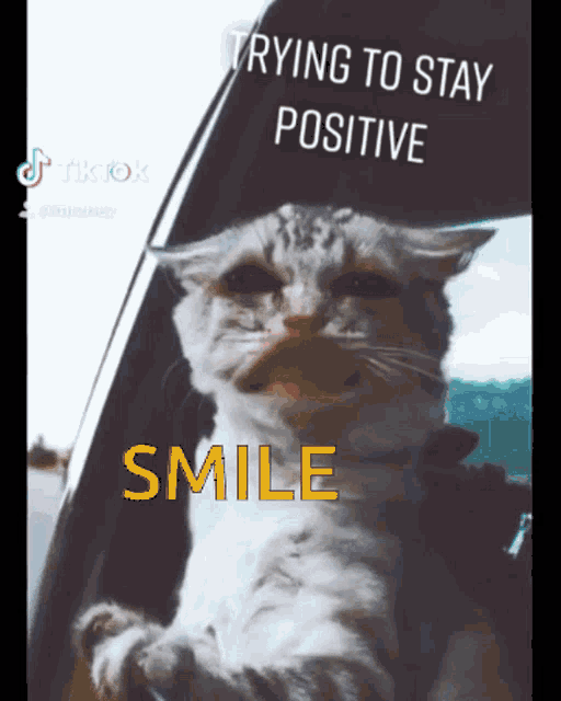 Smile Positive GIF - Smile Positive Positive Vibes GIFs