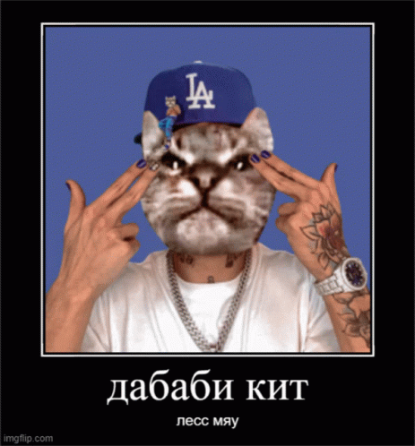 Kut Cat Dababy GIF - Kut Cat Dababy Less Go GIFs