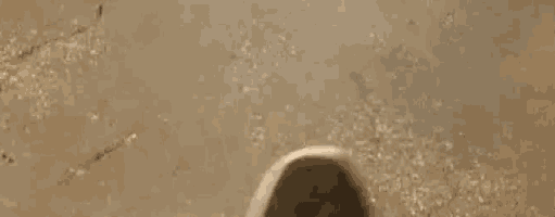 a close up of a person 's foot wearing a pair of sneakers on a concrete surface .