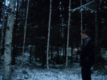 a snowy forest with trees and branches covered in snow