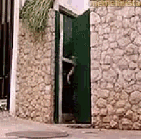 a man is standing in front of a stone wall and a green door .