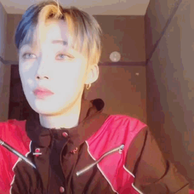 a young man with short hair is wearing a red and brown jacket and looking at the camera .