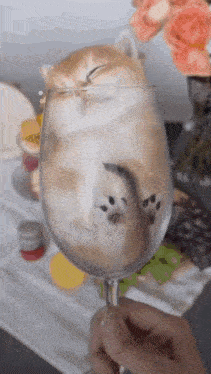 a person is holding a wine glass with a cat sleeping inside of it .