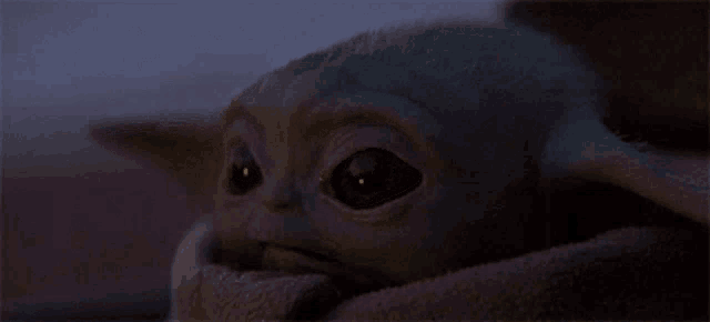 a baby yoda is wrapped in a blanket and looking at the camera at night .