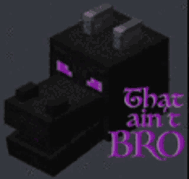 a picture of an ender dragon with the words that ain t bro written on it