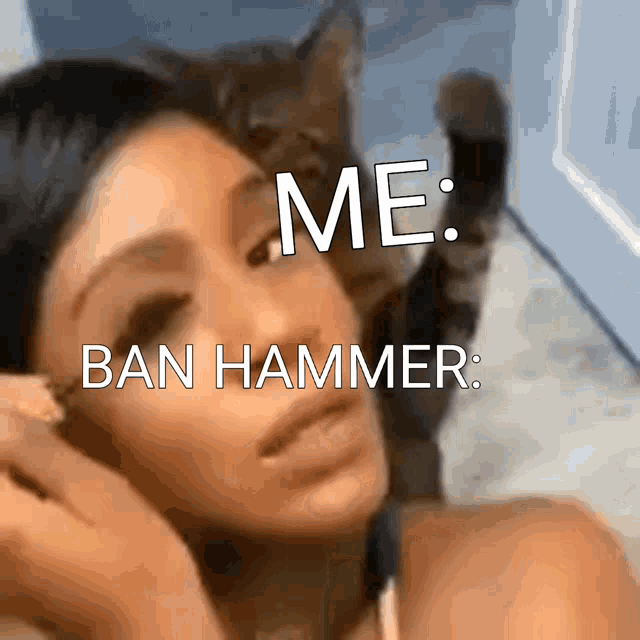Ban Hammer Cat GIF - Ban Hammer Cat Hitting Ban Hammer GIFs