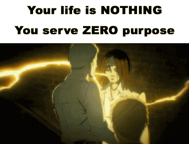 a meme says your life is nothing and you serve zero purpose
